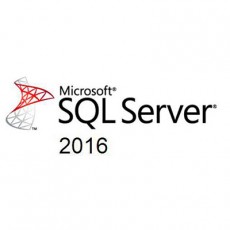 SQL Server Standard 2016 기업용 영구라이선스