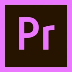 Premiere Pro (연간 계약 제품)